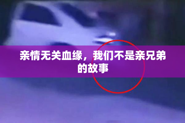 亲情无关血缘，我们不是亲兄弟的故事