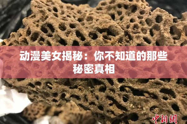 动漫美女揭秘：你不知道的那些秘密真相