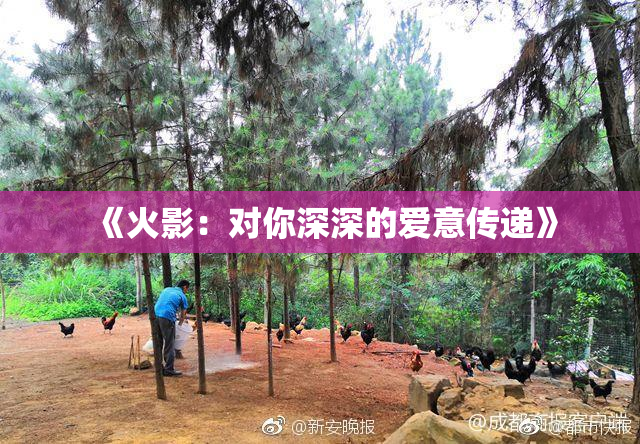 《火影：对你深深的爱意传递》