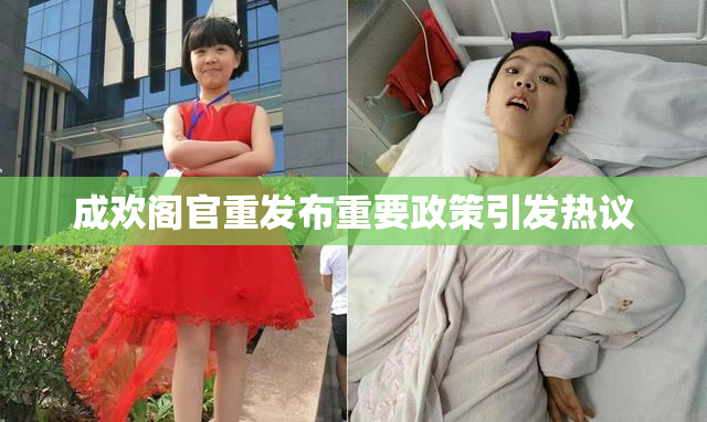 成欢阁官重发布重要政策引发热议