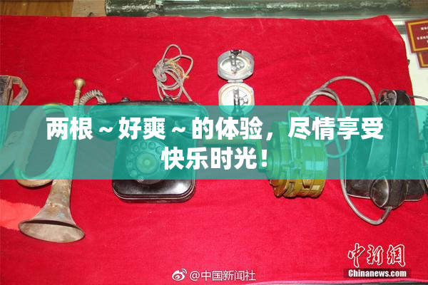 两根～好爽～的体验，尽情享受快乐时光！