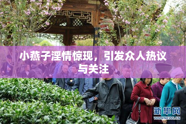 小燕子淫情惊现，引发众人热议与关注