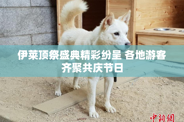 伊莱顶祭盛典精彩纷呈 各地游客齐聚共庆节日