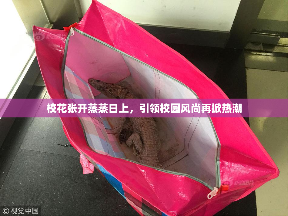 校花张开蒸蒸日上，引领校园风尚再掀热潮