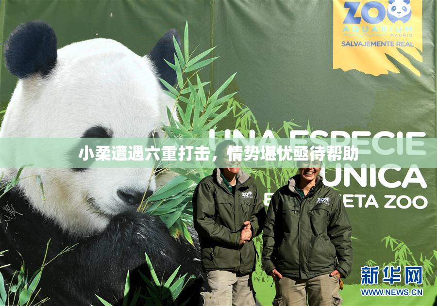 小柔遭遇六重打击，情势堪忧亟待帮助