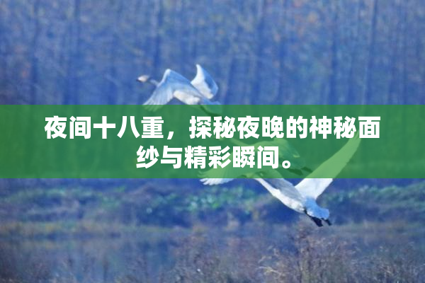 夜间十八重，探秘夜晚的神秘面纱与精彩瞬间。