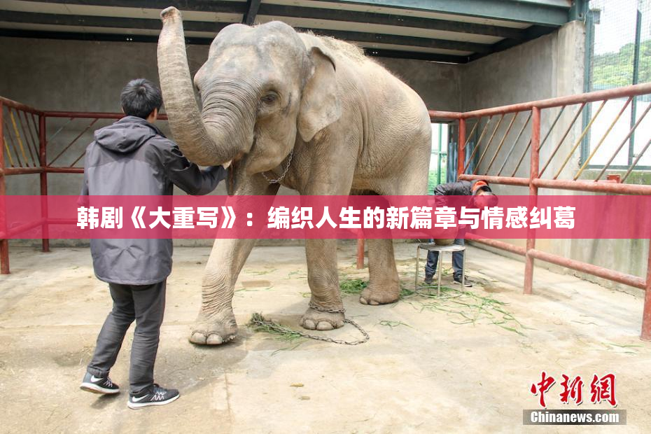 韩剧《大重写》：编织人生的新篇章与情感纠葛