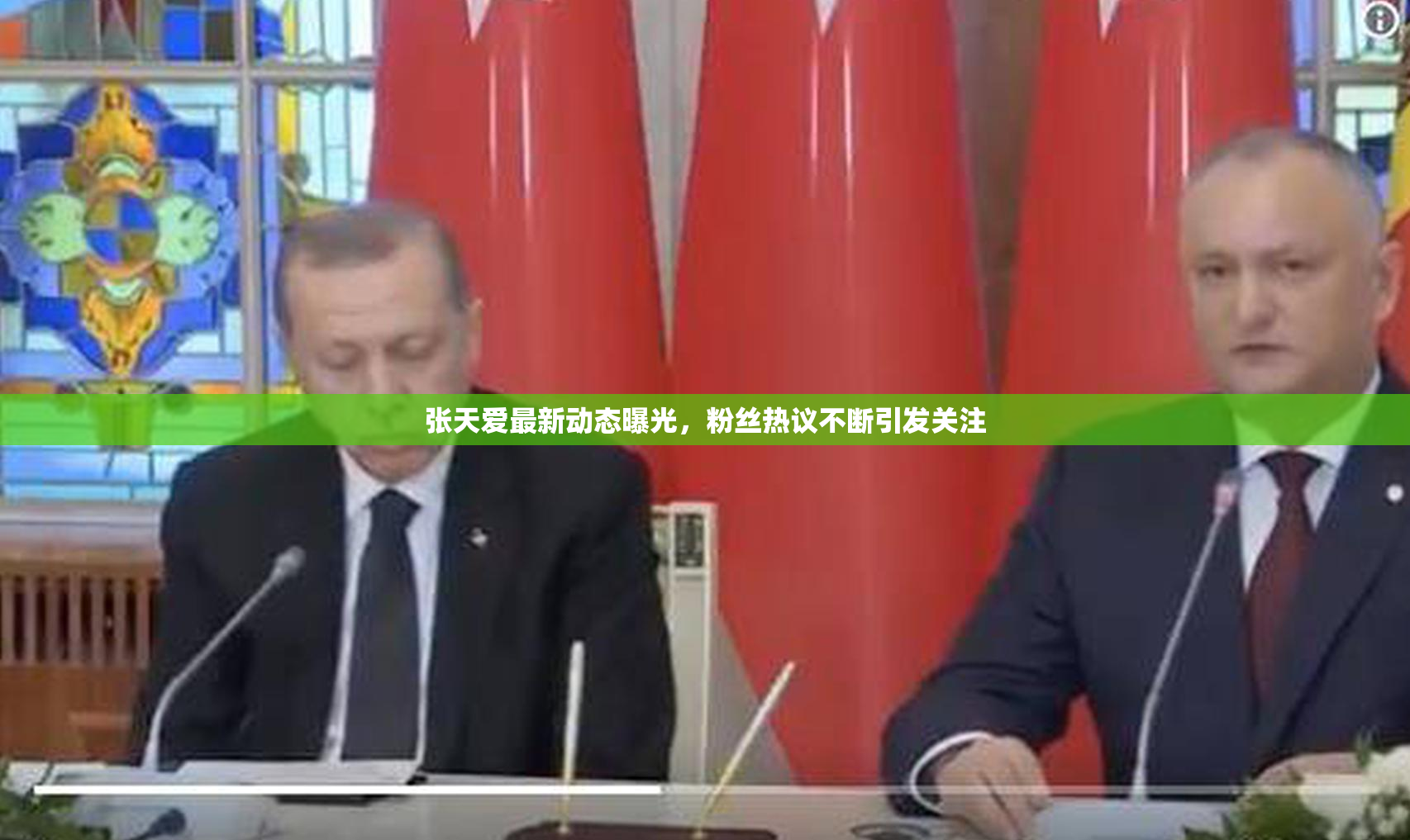 张天爱最新动态曝光，粉丝热议不断引发关注