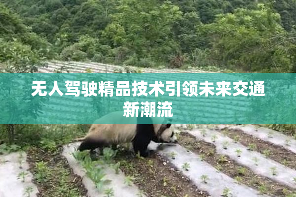 无人驾驶精品技术引领未来交通新潮流