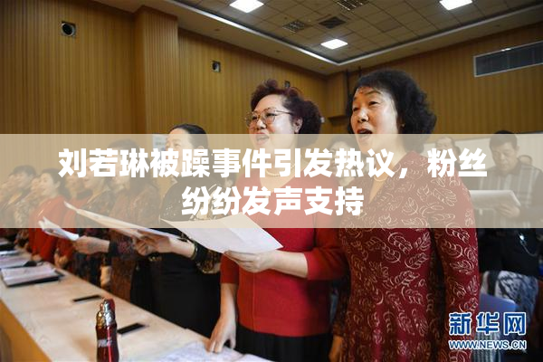 刘若琳被躁事件引发热议，粉丝纷纷发声支持
