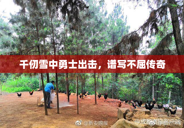 千仞雪中勇士出击，谱写不屈传奇