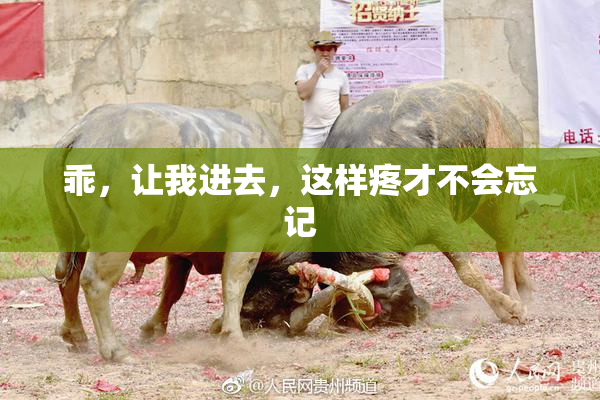 乖，让我进去，这样疼才不会忘记