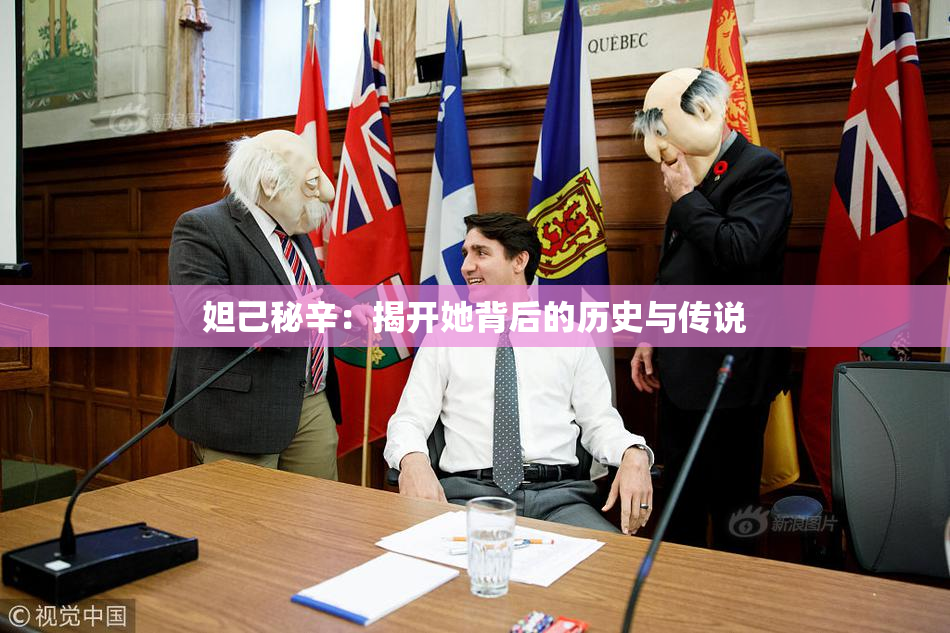 妲己秘辛：揭开她背后的历史与传说