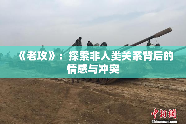 《老攻》：探索非人类关系背后的情感与冲突