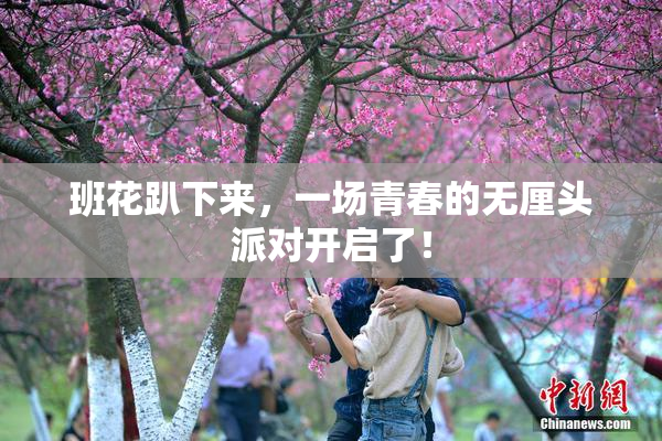 班花趴下来，一场青春的无厘头派对开启了！