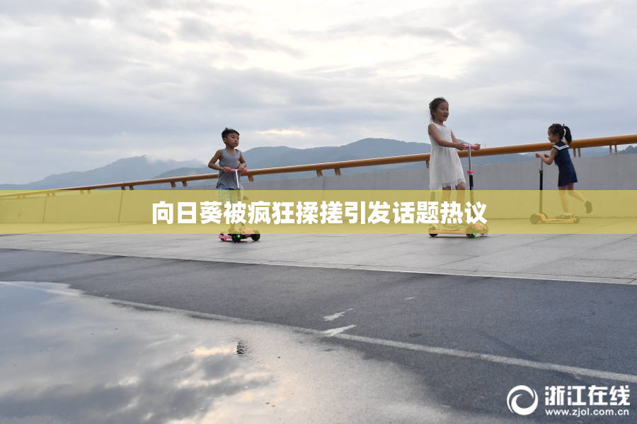 向日葵被疯狂揉搓引发话题热议