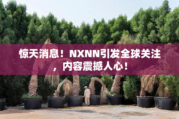 惊天消息！NXNN引发全球关注，内容震撼人心！