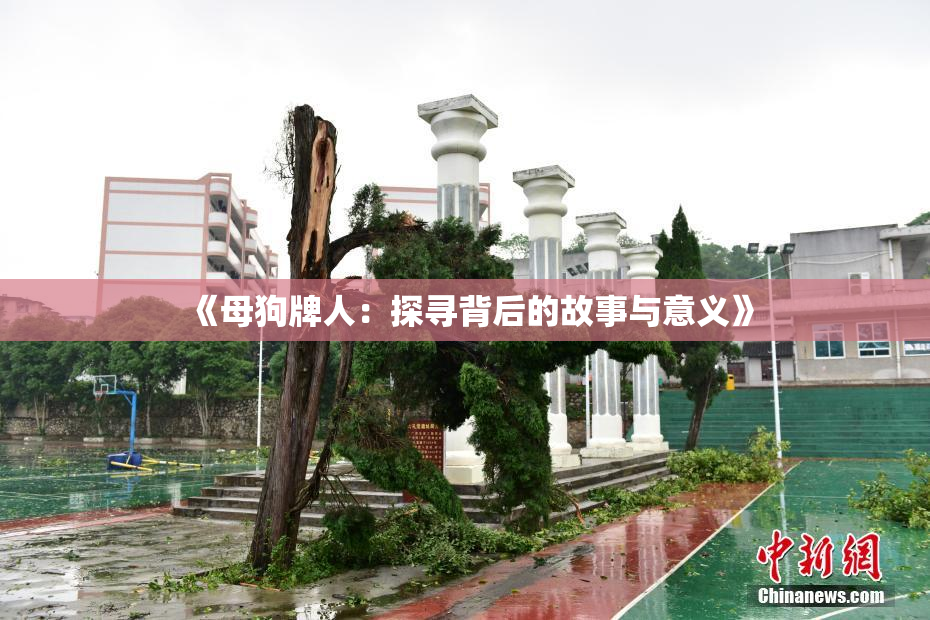 《母狗牌人：探寻背后的故事与意义》