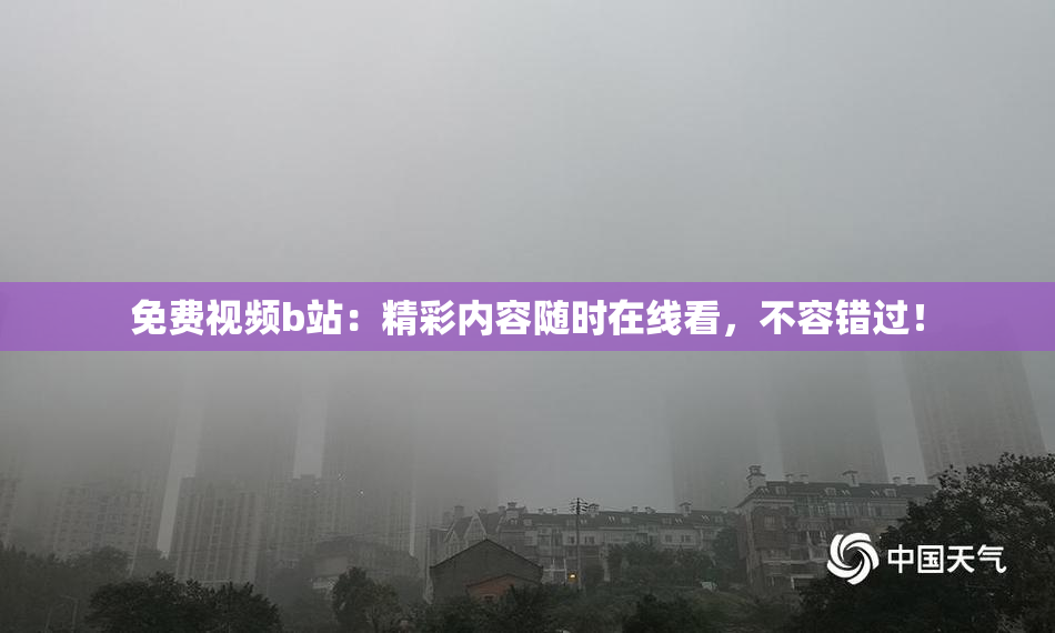 免费视频b站：精彩内容随时在线看，不容错过！