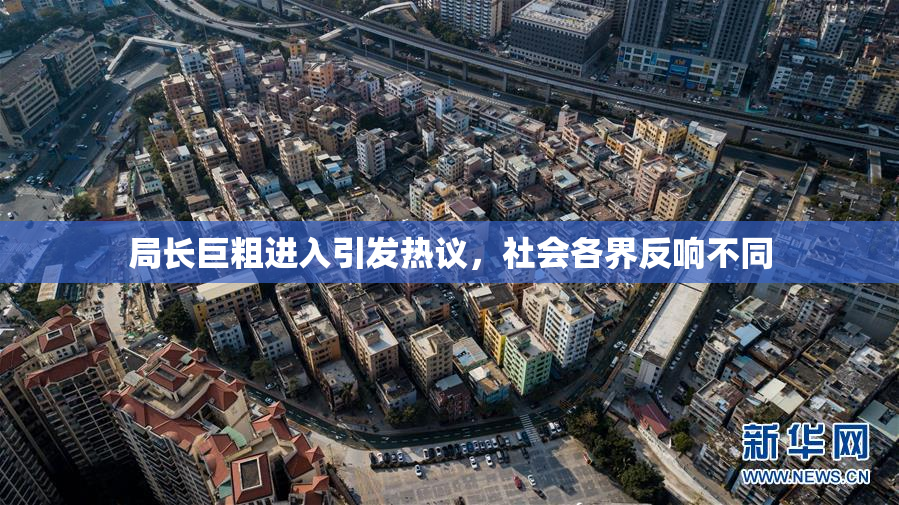 局长巨粗进入引发热议，社会各界反响不同