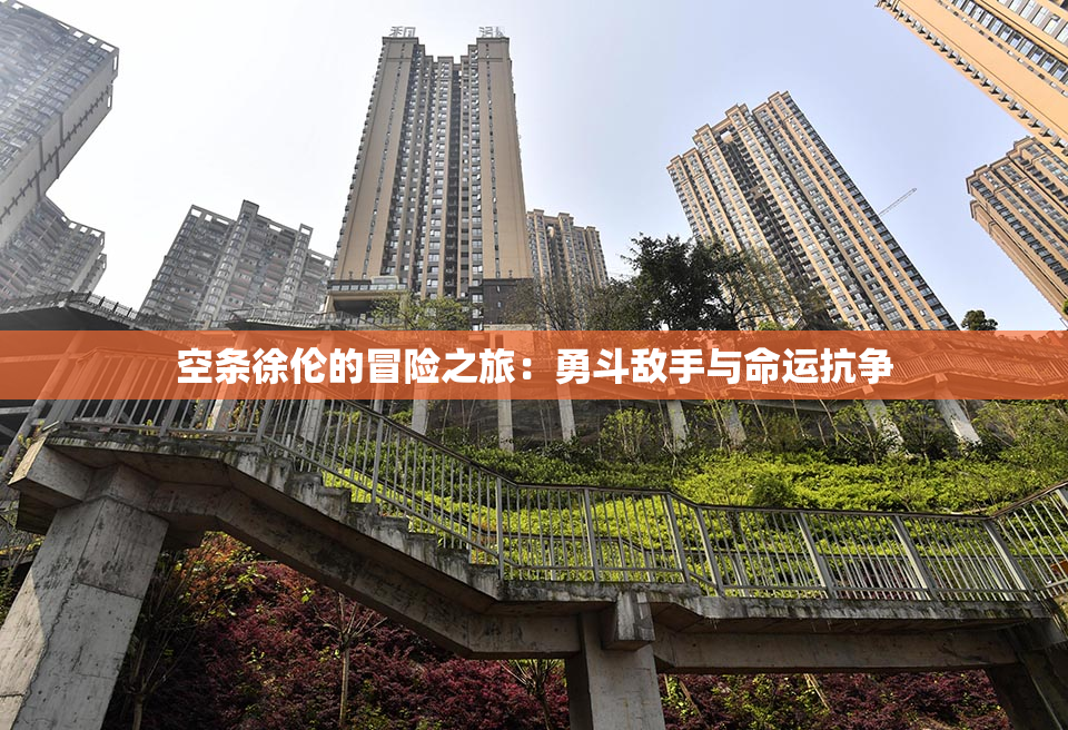 空条徐伦的冒险之旅：勇斗敌手与命运抗争