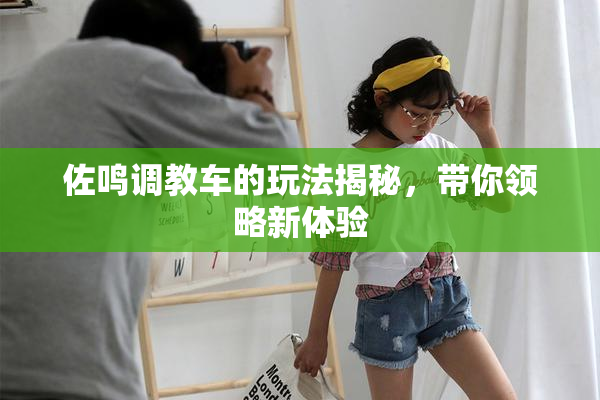 佐鸣调教车的玩法揭秘，带你领略新体验