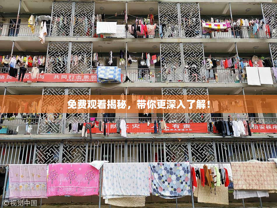 免费观看揭秘，带你更深入了解！