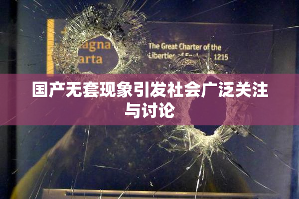 国产无套现象引发社会广泛关注与讨论