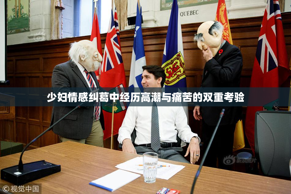 少妇情感纠葛中经历高潮与痛苦的双重考验