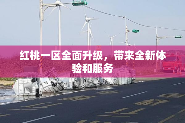 红桃一区全面升级，带来全新体验和服务
