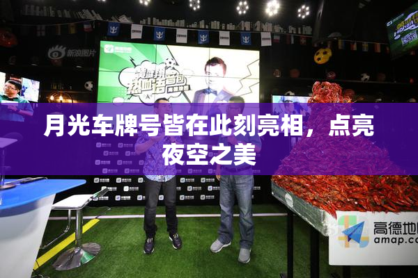 月光车牌号皆在此刻亮相，点亮夜空之美