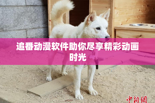 追番动漫软件助你尽享精彩动画时光