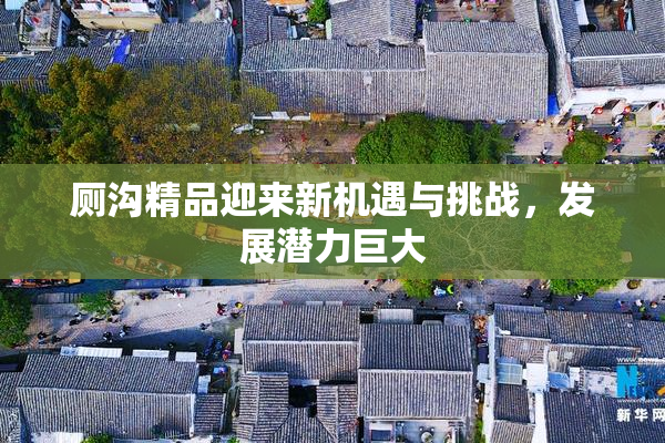 厕沟精品迎来新机遇与挑战，发展潜力巨大
