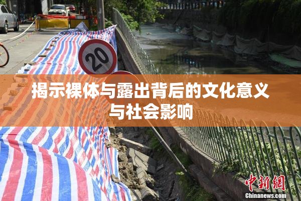 揭示裸体与露出背后的文化意义与社会影响