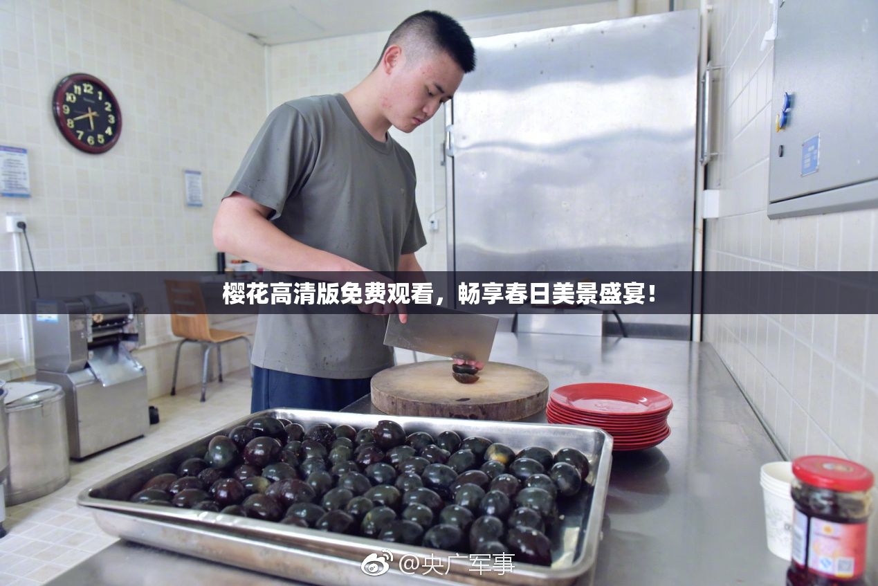 樱花高清版免费观看，畅享春日美景盛宴！