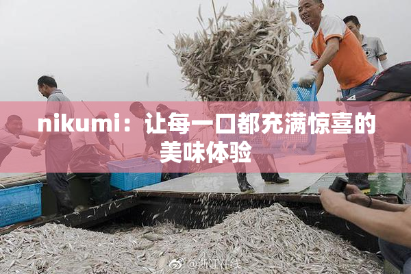 nikumi：让每一口都充满惊喜的美味体验