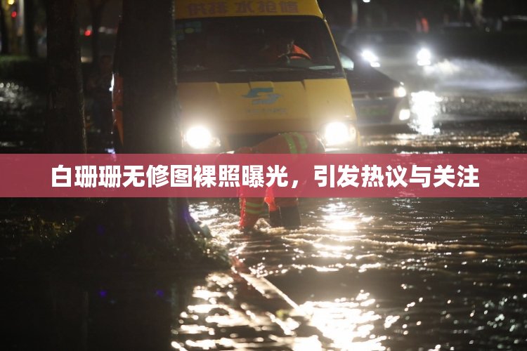白珊珊无修图裸照曝光，引发热议与关注