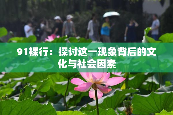 91裸行：探讨这一现象背后的文化与社会因素
