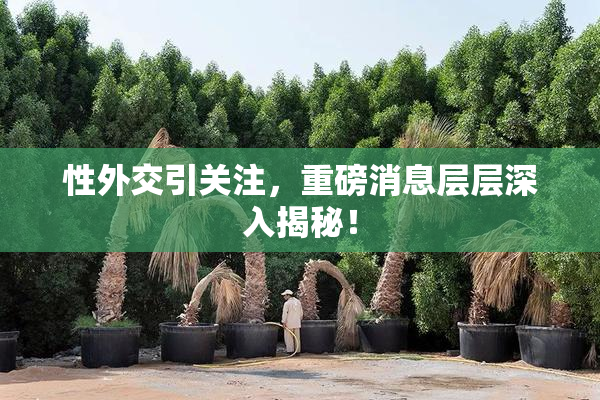 性外交引关注，重磅消息层层深入揭秘！