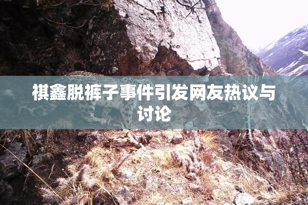 祺鑫脱裤子事件引发网友热议与讨论