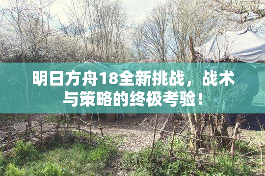 明日方舟18全新挑战，战术与策略的终极考验！