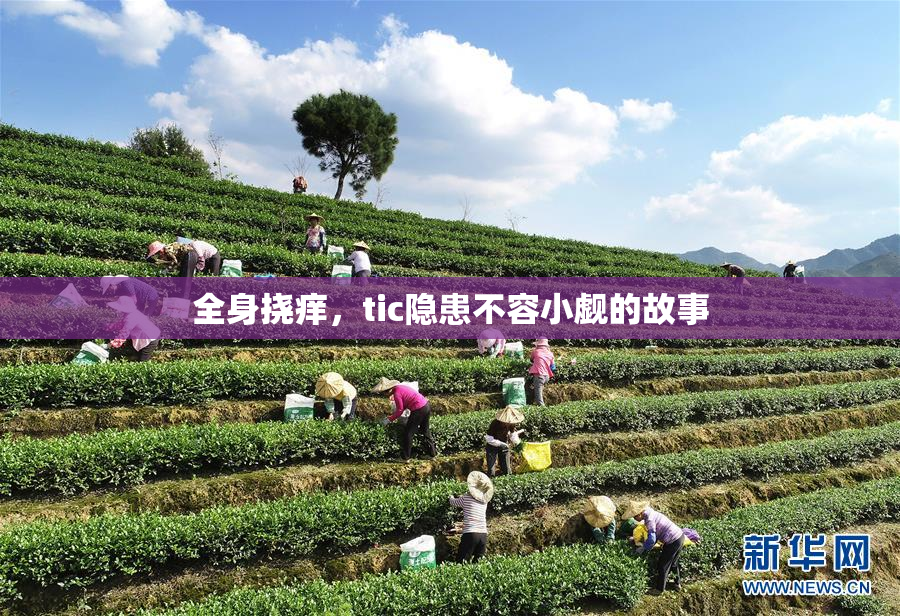 全身挠痒，tic隐患不容小觑的故事