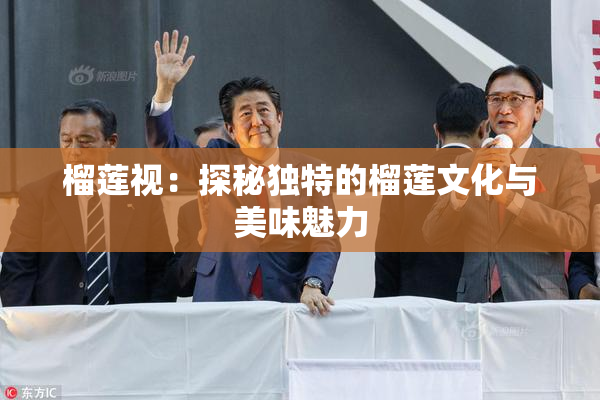 榴莲视：探秘独特的榴莲文化与美味魅力