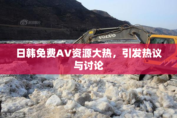 日韩免费AV资源大热，引发热议与讨论