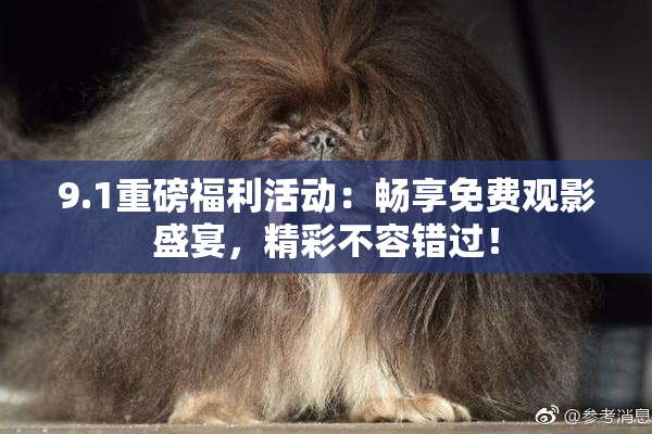 9.1重磅福利活动：畅享免费观影盛宴，精彩不容错过！