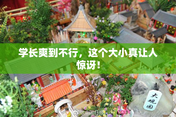 学长爽到不行，这个大小真让人惊讶！