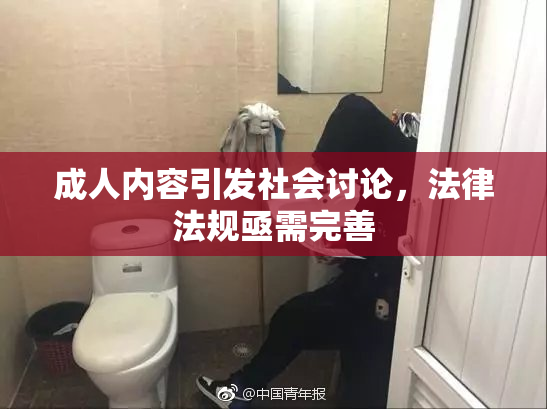 成人内容引发社会讨论，法律法规亟需完善