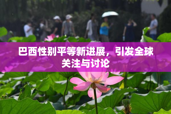 巴西性别平等新进展，引发全球关注与讨论