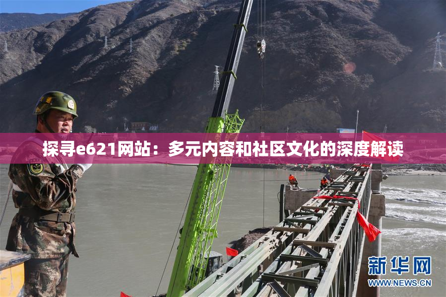 探寻e621网站：多元内容和社区文化的深度解读