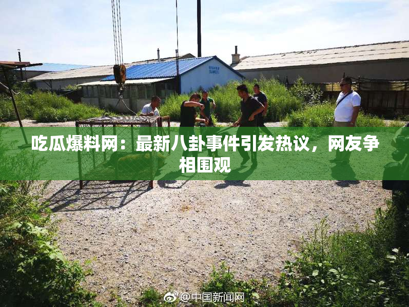 吃瓜爆料网：最新八卦事件引发热议，网友争相围观